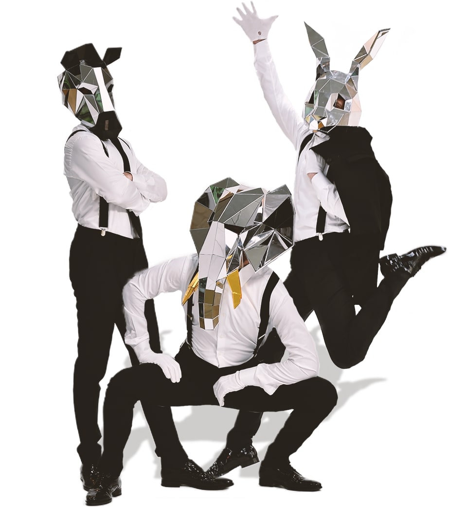 REFLECTION MASKS