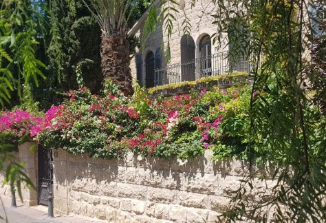 מושבה כפרית בלב העיר- סיורי שבת בירושלים
