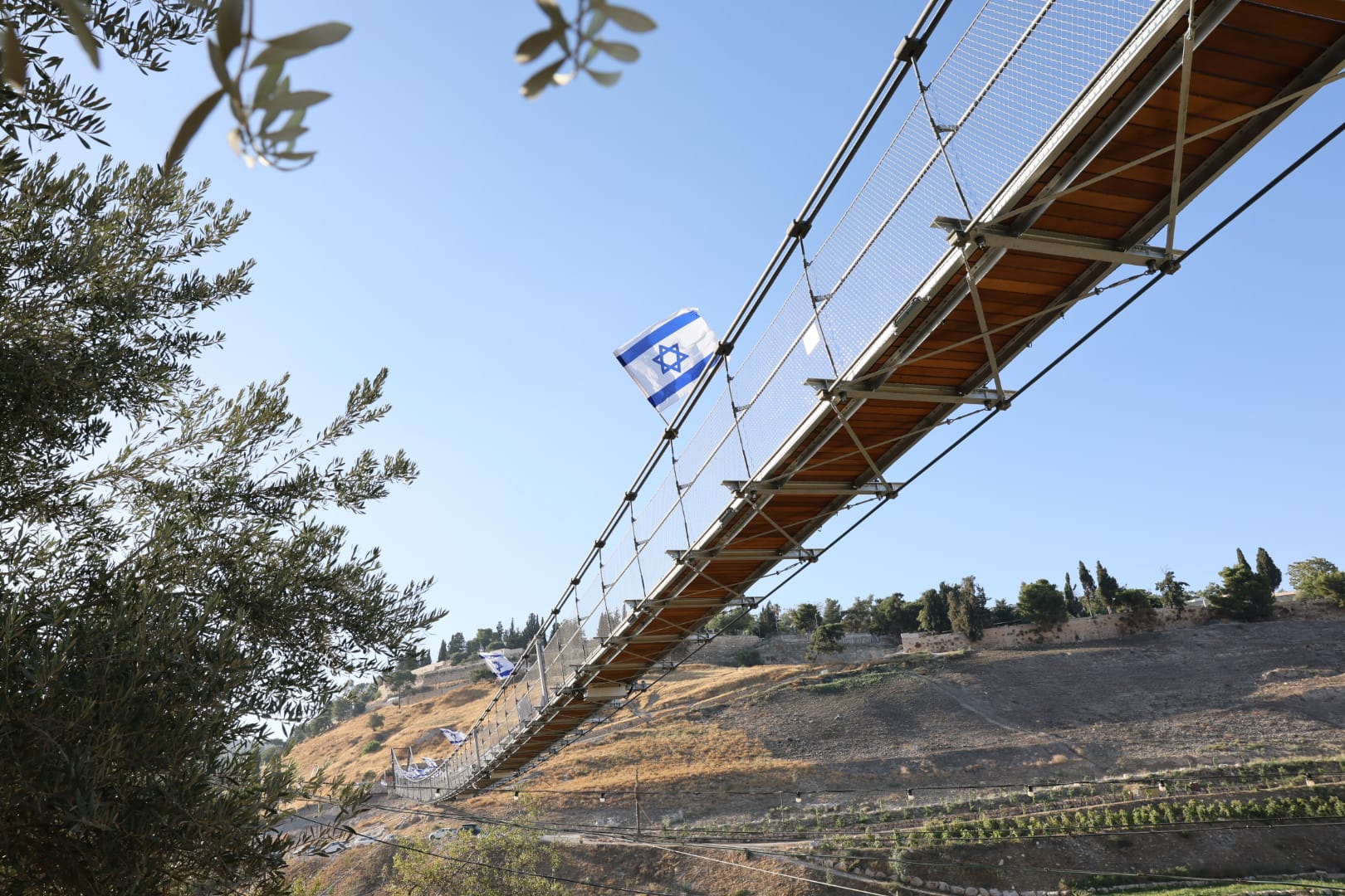 ארנון בוסאני